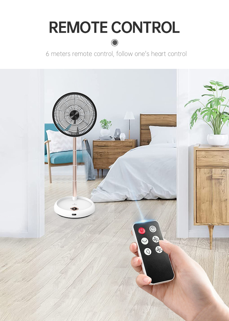 remote control fan